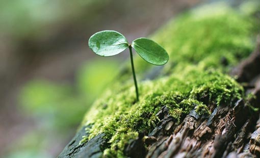 أحب الناس الى الله